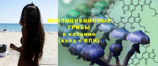 спайс Алексин